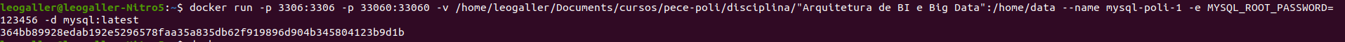 docker run